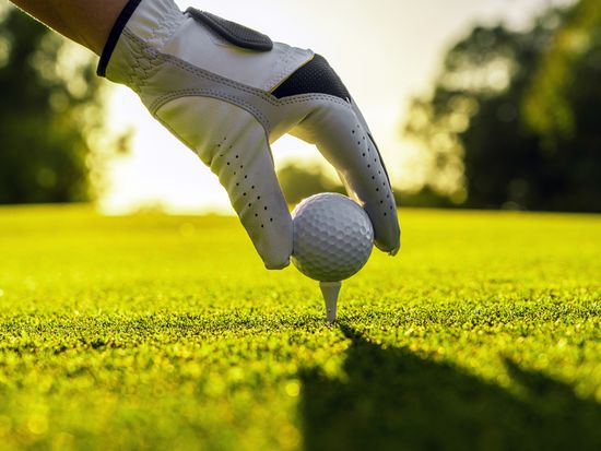 FotoJetpixta_90954581_M