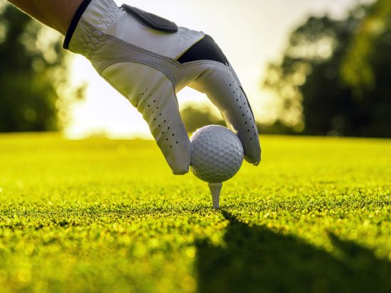 レイクウッドカントリークラブ　送迎付きゴルフツアー ＜空港送迎の選択可／日本語ガイド付き／カート代込＞