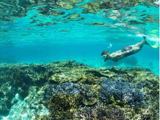 シギラビーチ発 宮古ブルーを漕ぎ出そう！カヤックで行くとっておきのシュノーケルスポット体験＜約2.5時間／宮古島＞