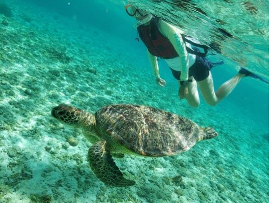 シギラビーチ発 宮古ブルーを漕ぎ出そう！カヤックで行くとっておきのシュノーケルスポット体験＜約2.5時間／宮古島＞