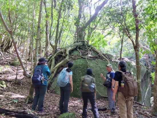 屋久島トレッキングツアー 知られざる世界遺産・西部照葉樹林で出会う森と動物たち＜昼食付／送迎付／1日＞ by 屋久島大学