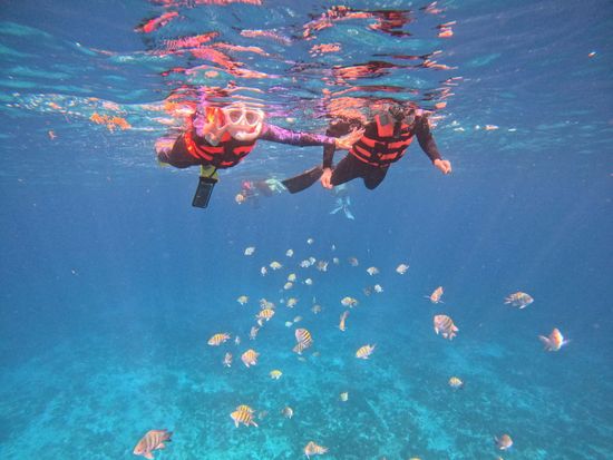 68e974e5-d9cf-4042-88e8-f739bccc7be9-e1766880961265