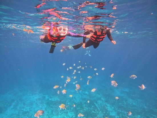 シュノーケリング MUSA水中美術館（海底美術館）＆お魚いっぱいサンゴ礁ポイント＜貸切／日本人インストラクター／水中写真プレゼント＞