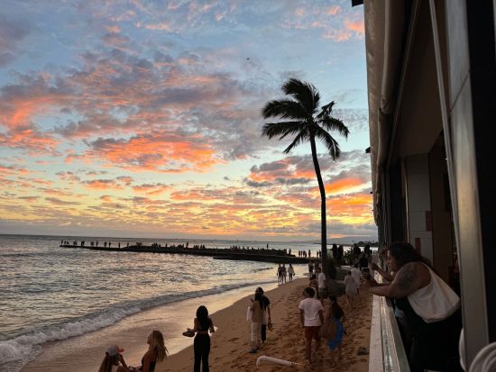 【レストラン座席予約】モンキーポッド・キッチン（Monkeypod Kitchen）