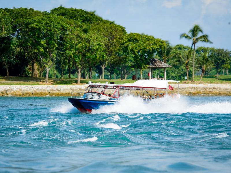 08 - Albatross Speedboat