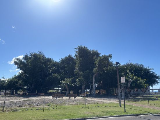 日本語タクシープライベートチャーター(4時間以上)