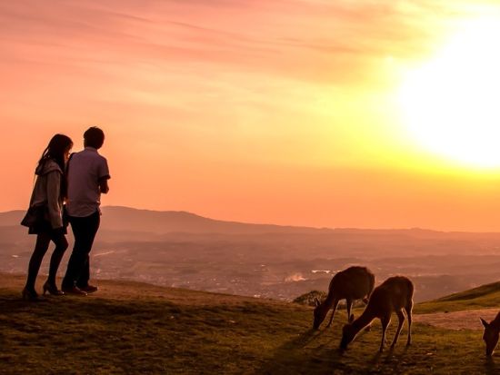 若草山頂行きバス 奈良の絶景と鹿のふれあいを楽しむ＜午前 or 午後／JR奈良駅・近鉄奈良駅発＞