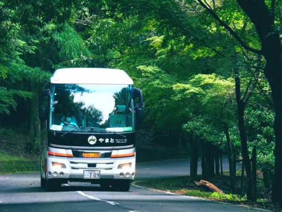 若草山頂行きバス 奈良の絶景と鹿のふれあいを楽しむ＜午前 or 午後／JR奈良駅・近鉄奈良駅発＞