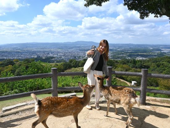 若草山頂行きバス 奈良の絶景と鹿のふれあいを楽しむ＜午前 or 午後／JR奈良駅・近鉄奈良駅発＞