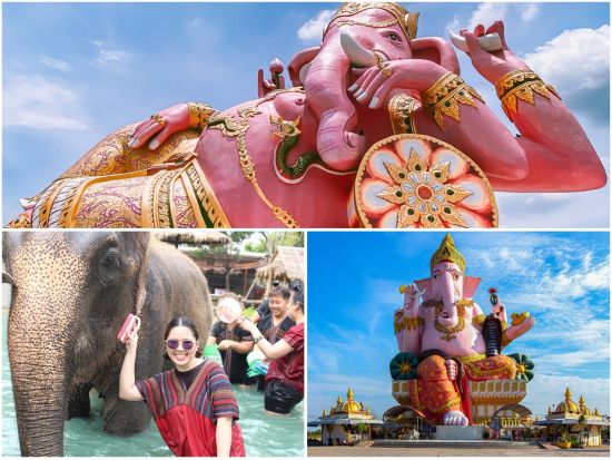 ピンクのガネーシャ＋象ケア体験ツアー　ヤードム作り体験付き！フォトジェニックなピンクガネーシャと象とのふれあい＜1日／昼食＞