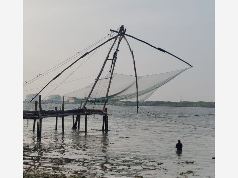Kerala Kochi Chinese Fishing Net1