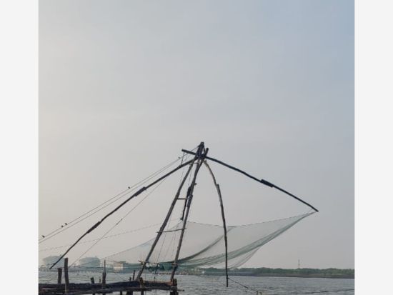 【貸切チャーター】コーチン発ムンナル＆テッカディ＆アレッピー＆コバラム観光ツアー＜専用車／英語ドライバー／高速代・駐車場代込／コーチン市内中心部ドロップ＞