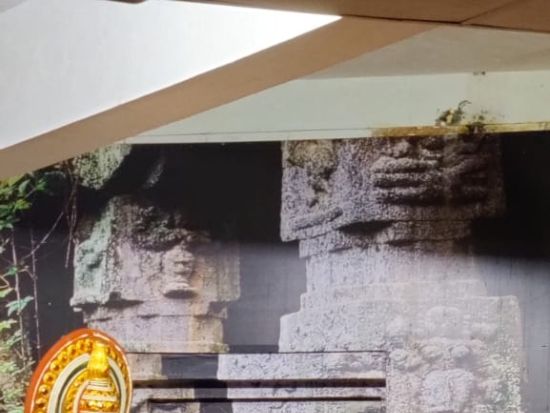 【貸切チャーター】コーチン発ムンナル＆テッカディ＆アレッピー＆コバラム観光ツアー＜専用車／英語ドライバー／高速代・駐車場代込／コーチン市内中心部ドロップ＞