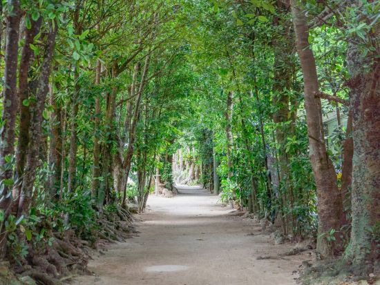 往復フェリー＆本部町認定ガイドが案内 ～もとぶ船旅プラン～ 本部観光まるごと満喫！島内で使える商品券付◎＜半日or1日＞