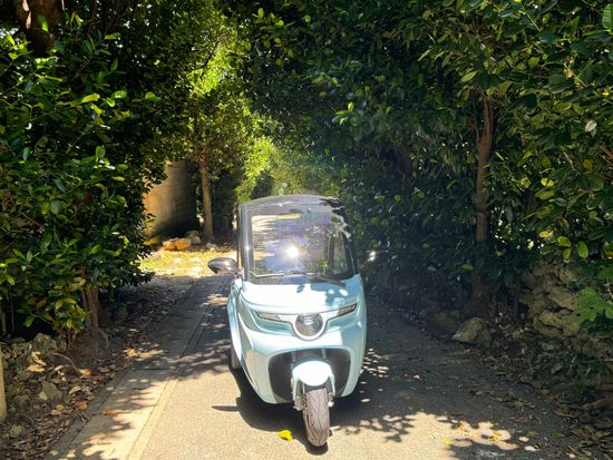 トゥクトゥク フクギ2