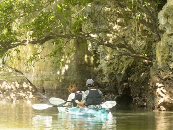 石垣島マングローブカヤックツアー　初心者安心サポート＆写真データ無料プレゼント＜3歳以上／1時間半／石垣島＞