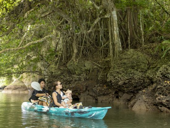 石垣島マングローブカヤックツアー　初心者安心サポート＆写真データ無料プレゼント＜3歳以上／1時間半／石垣島＞