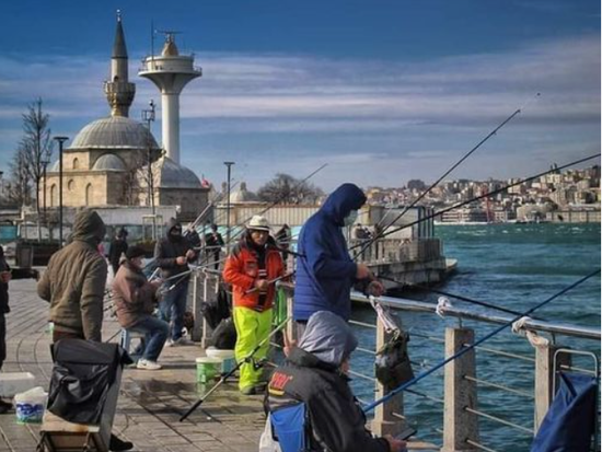 スクリーンショット 2026-01-12 183704