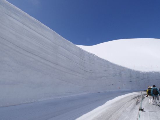 名古屋発2日間バスツアー 雪の大谷ウォーク＆となみチューリップフェア 室堂に約3時間滞在！＜1泊2日／名古屋発着＞