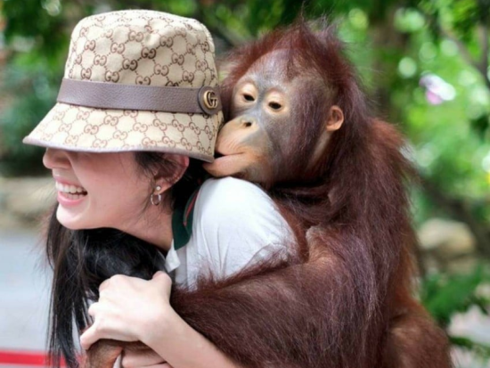アイドル聖地巡礼ツアー　冠番組のロケ地巡り！サファリワールドやフィッシングパークなど選べる3プラン＜貸切／日本語ガイド／バンコク発＞