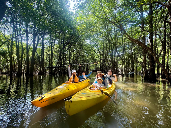 スクリーンショット 2026-01-13 101236