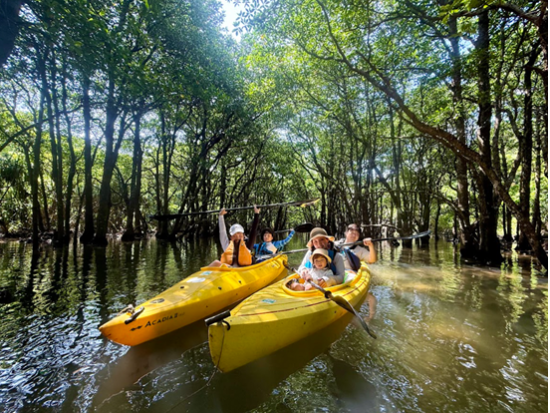 西表島 ピナイサーラの滝トレッキング＆由布島水牛観光 自然と島時間を楽しむ1日＜送迎・昼食付き／西表島＞
