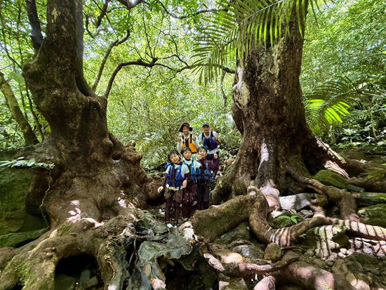 スクリーンショット 2026-01-13 101320