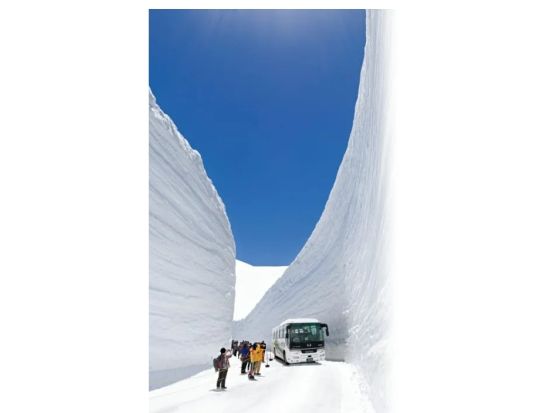雪の大谷直行日帰りバスツアー(増便)＜弁当付／5月限定／富山駅発着＞