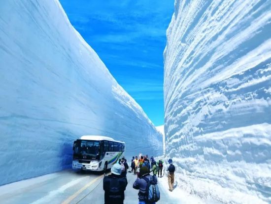 雪の大谷直行日帰りバスツアー(増便)＜弁当付／5月限定／富山駅発着＞