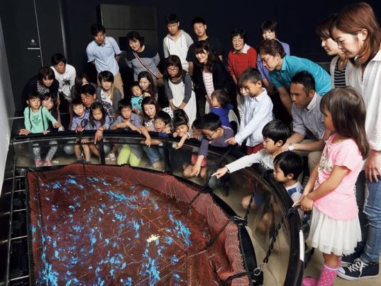 日帰りバスツアー 雪の大谷と富山湾の神秘体験 蜃気楼とホタルイカ発光ショー＜弁当付／5月限定／富山駅発着＞