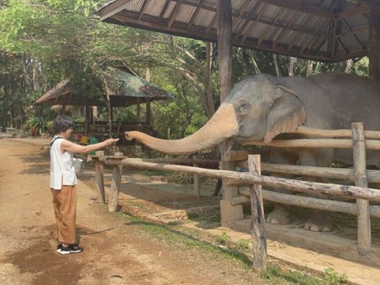 チェンマイ定番観光ツアー　ドイステープ寺院＋ゾウ体験＋エコ体験スポット巡り＜1日／日本語ガイド＞