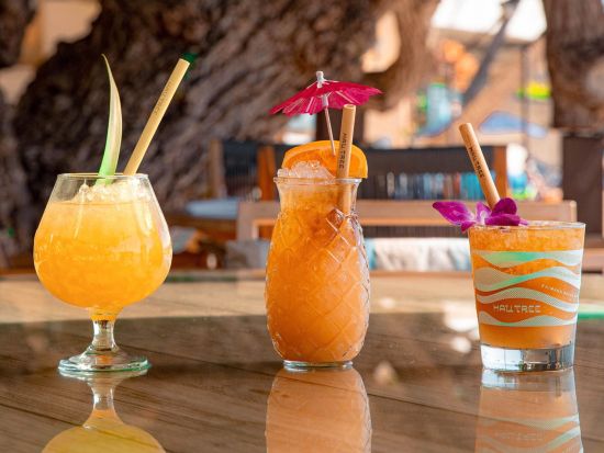 【レストラン座席予約】ハウツリー（Hau Tree）