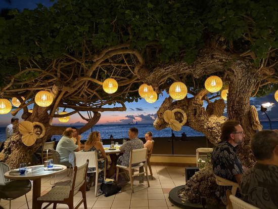 【レストラン座席予約】ハウツリー（Hau Tree）