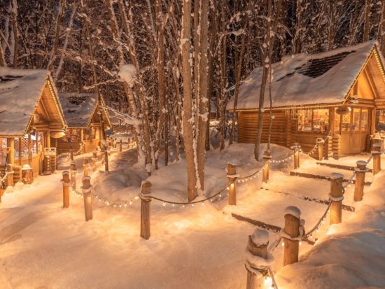 【ゆったり出発】札幌発バスツアー旭山動物園＆美瑛クリスマスツリー＆妖精の森ニングルテラス＜1日/1名様から催行/大通駅発着>