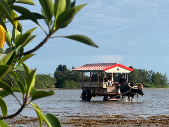 スクリーンショット 2026-01-13 165103