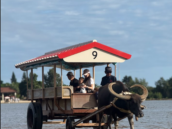 スクリーンショット 2026-01-13 165117