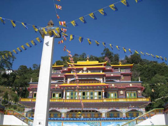 【貸切チャーター】バグドグラ発ダージリン観光ツアー！日本語サポート可＜専用車／英語ドライバー／高速代＆駐車場代込／バグドグラ空港または市内中心部送迎＞