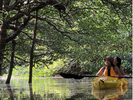 西表島 早朝サガリバナ観賞カヤック 1年に1度の幻想体験＜6〜7月限定／おやつ＆コーヒー・写真付き／西表島＞