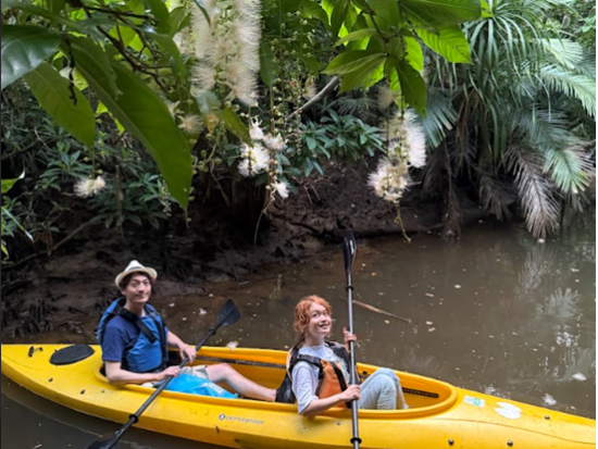西表島 早朝サガリバナ観賞カヤック 1年に1度の幻想体験＜6〜7月限定／おやつ＆コーヒー・写真付き／西表島＞