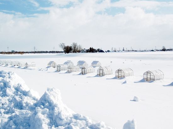 札幌発 冬の日帰りバスツアー　わかさぎ釣り＆しんしのつ温泉入浴を楽しむ冬の魅力堪能コース＜1〜3月／1名様から催行／札幌発＞ 