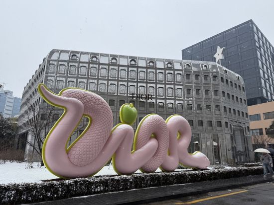 話題の『ムグオク(무구옥)』北朝鮮式参鶏湯もしくはセリで有名『ヌンドンミナリ』！ソウル市内観光ツアー景福宮+北村+安国+聖水で話題スポット巡り