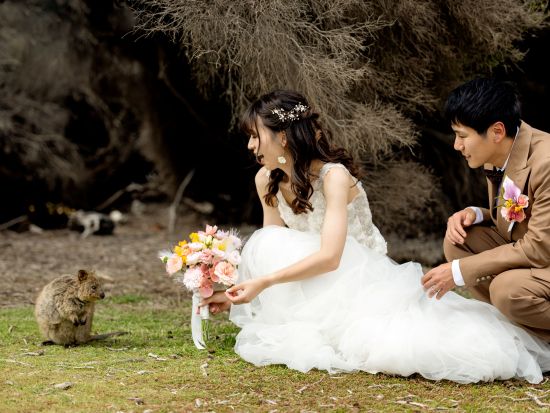 ロットネスト島　ウェディングフォト　ヘアメイク付きプランあり＜パース市内送迎付き／ヒラリーズ発着＞