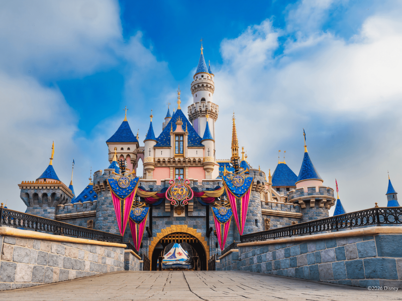 e6bc8dbc-9559-4ee3-a24e-ec645bd021c2