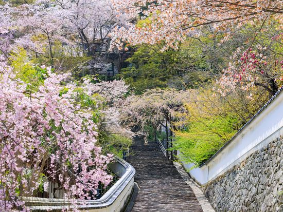 Japan_Nara_Hase-temple_pixta_76532619_M