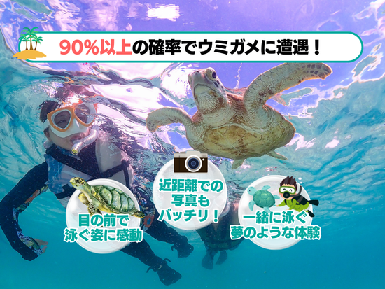 ウミガメシュノーケリング体験 高確率で遭遇！ウミガメと撮った写真は全て無料プレゼント♪忘れられない思い出を＜半日／送迎付／石垣島＞の写真4