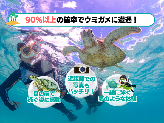 ウミガメシュノーケリング体験 高確率で遭遇！ウミガメと撮った写真は全て無料プレゼント♪忘れられない思い出を＜半日／送迎付／石垣島＞