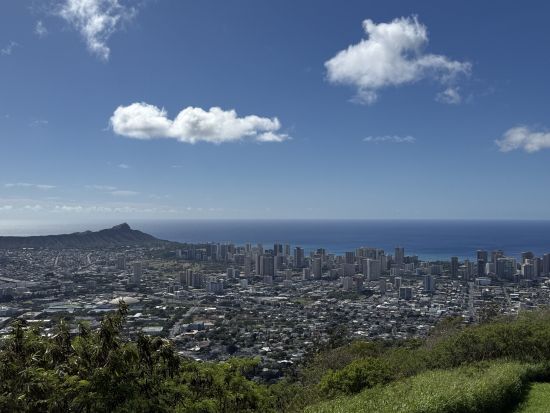 マノア散策ツアー　ダウンタウン散策＋タンタラスの丘＋ハワイ出雲大社＋ カメハメハ大王像＆イオラニ宮殿＜半日／日本語ガイド＞