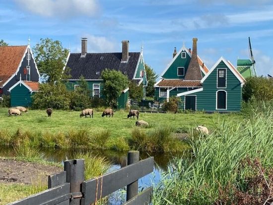 1日でオランダの魅力を満喫！選りすぐりの5か所を巡る充実ツアー　ザーンセ・スカンス＋アフスロイトダイク＋スローテン＋ウルク＋エルブルフ＜英語ガイド＞