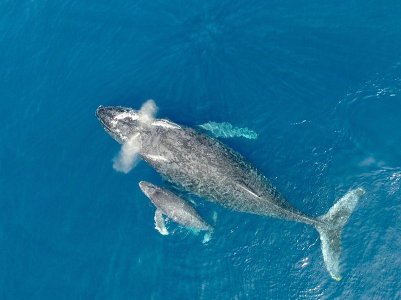 1枚目（メイン写真）