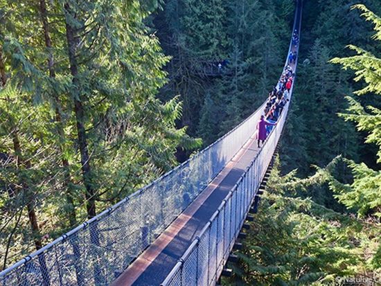 Capilano-Suspension-Bridge-600